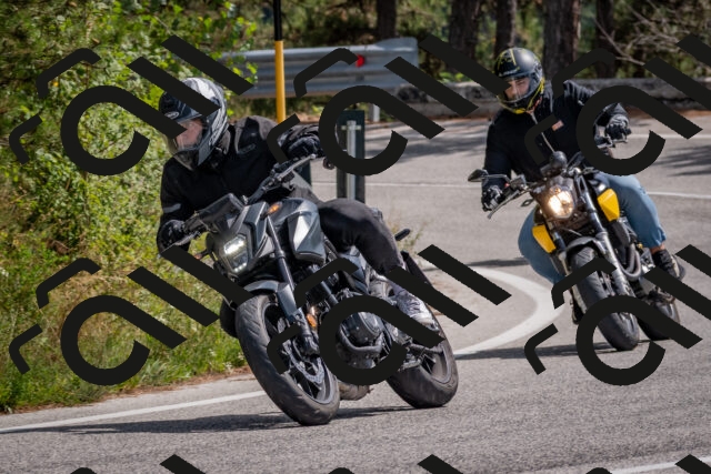 202509071310-DSC_9391_c4_