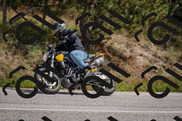 202509071310-DSC_9393_c4_