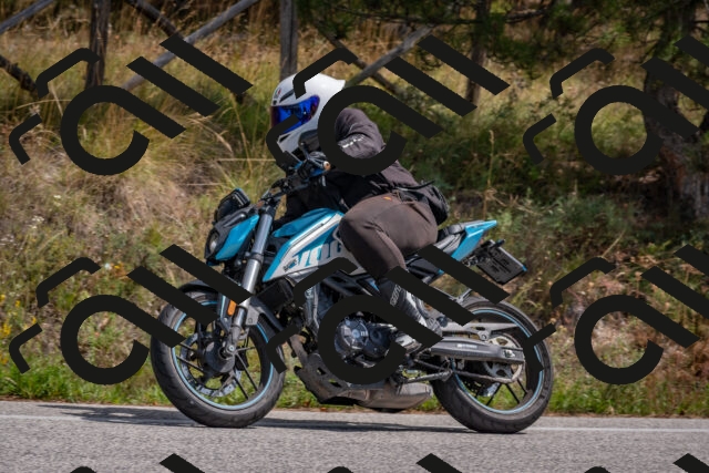 202509071310-DSC_9395_c4_