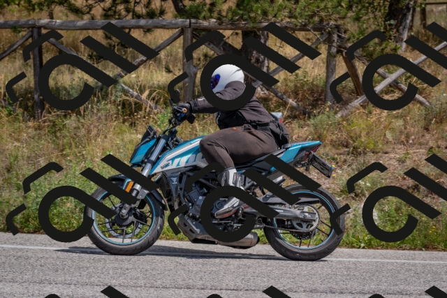 202509071310-DSC_9396_c4_