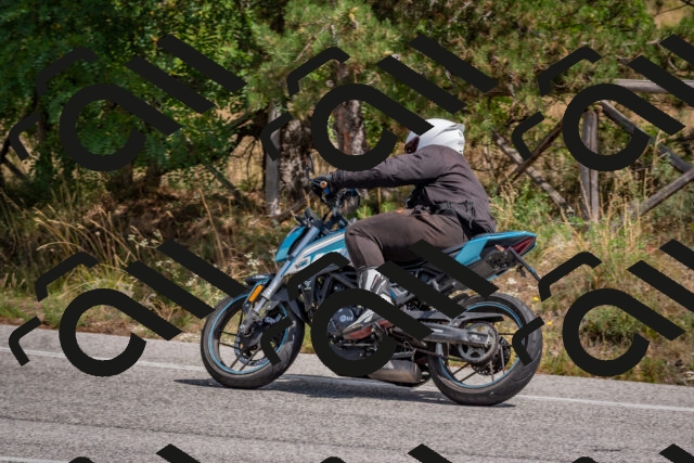 202509071310-DSC_9397_c4_