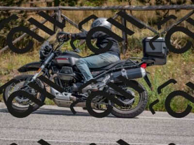 202509071310-DSC_9398_c4_