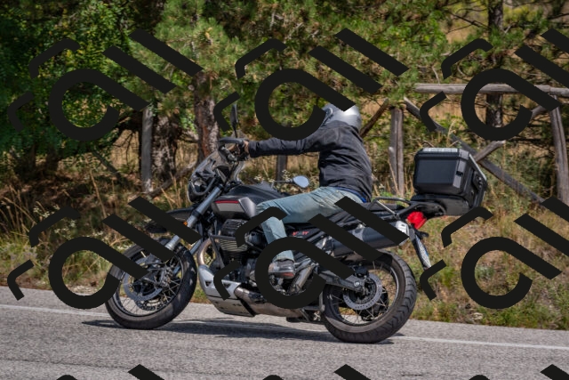 202509071310-DSC_9399_c4_