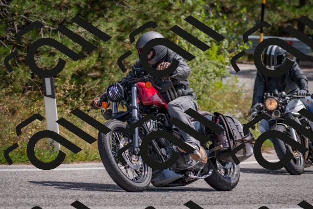 202509071310-DSC_9400_c4_