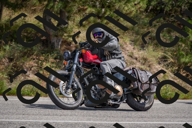 202509071310-DSC_9401_c4_