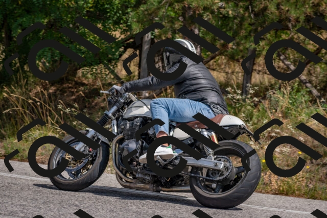 202509071310-DSC_9404_c4_