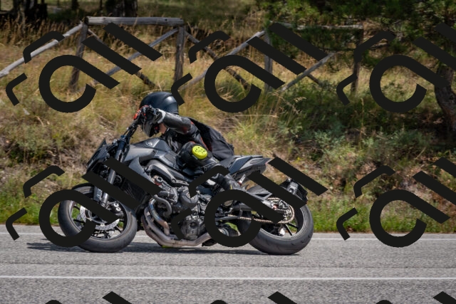 202509071311-DSC_9405_c4_