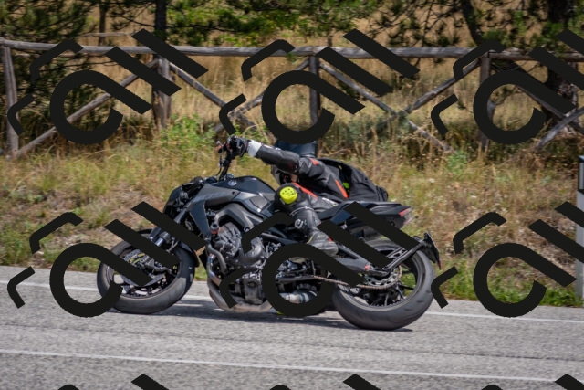 202509071311-DSC_9406_c4_