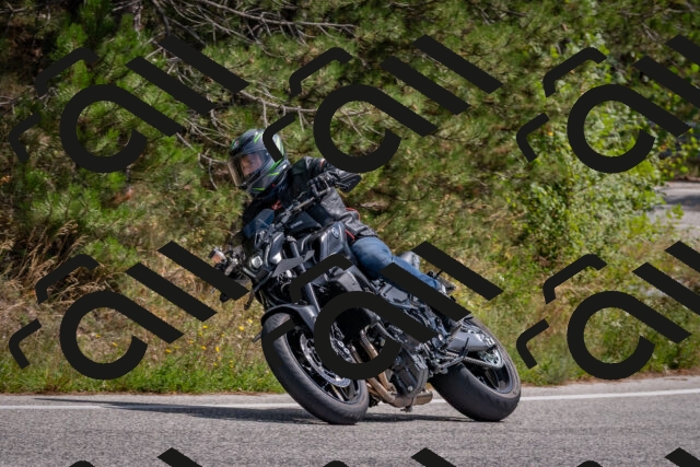 202509071311-DSC_9416_c4_