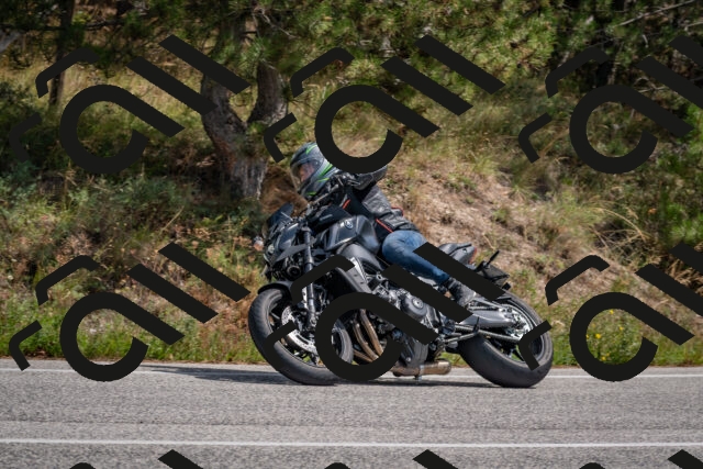 202509071311-DSC_9417_c4_