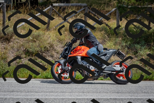 202509071311-DSC_9422_c4_