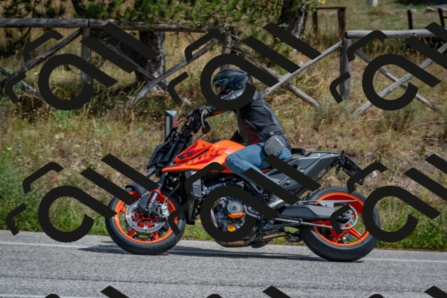 202509071311-DSC_9423_c4_