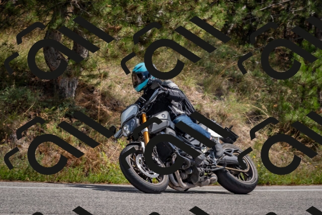 202509071311-DSC_9424_c4_