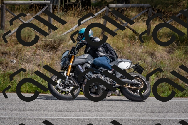 202509071311-DSC_9425_c4_