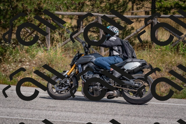 202509071311-DSC_9426_c4_