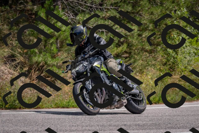 202509071312-DSC_9431_c4_