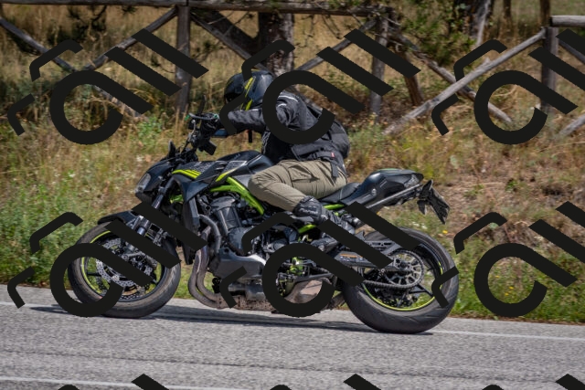 202509071312-DSC_9432_c4_