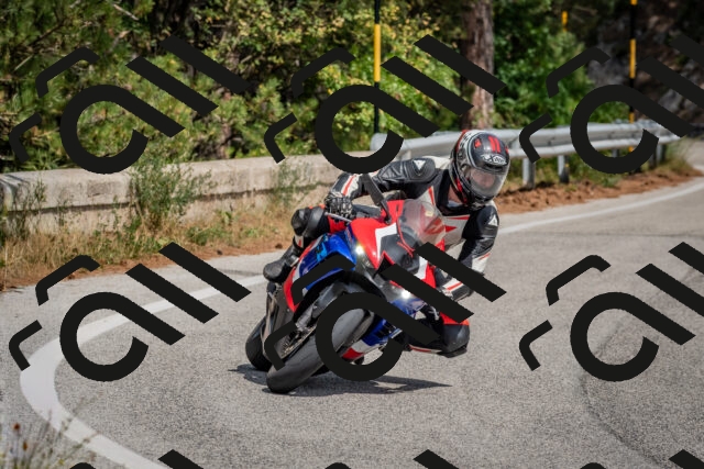 202509071312-DSC_9434_c4_