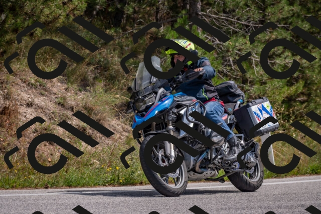 202509071314-DSC_9446_c4_