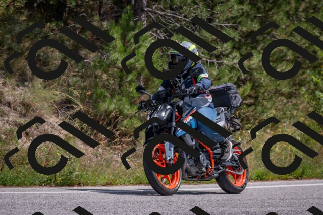 202509071314-DSC_9448_c4_