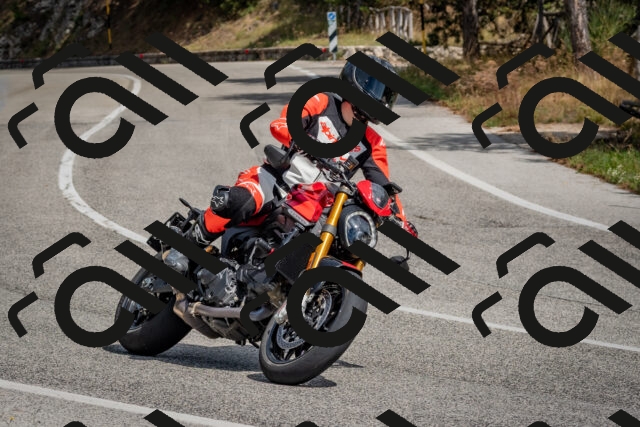 202509071315-DSC_9456_c4_