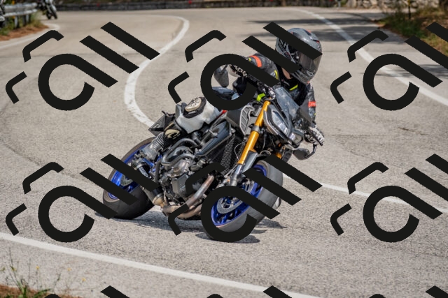 202509071315-DSC_9458_c4_