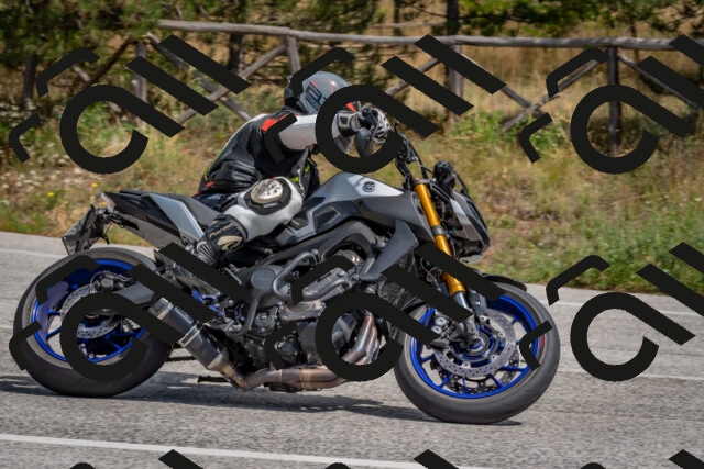 202509071315-DSC_9459_c4_