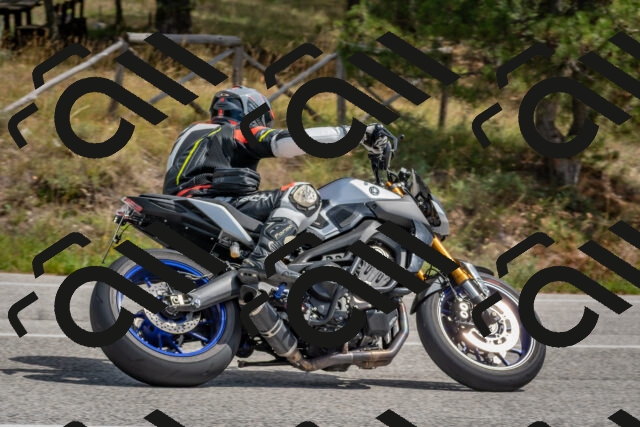 202509071315-DSC_9460_c4_