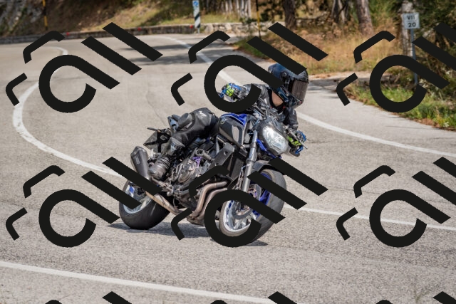 202509071315-DSC_9469_c4_