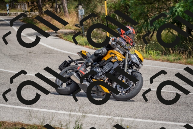 202509071315-DSC_9471_c4_