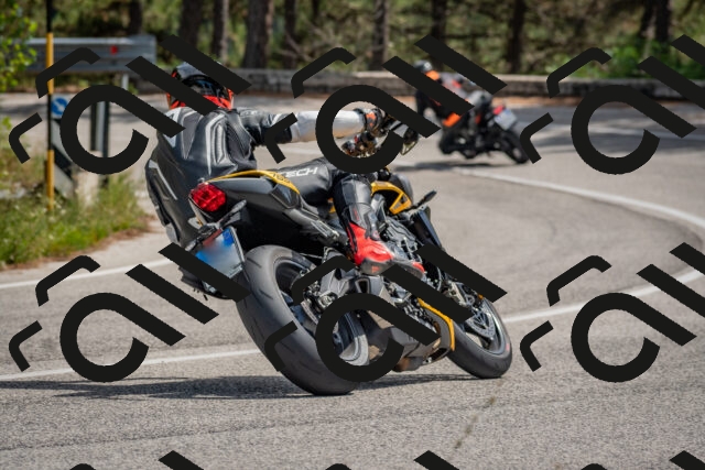 202509071315-DSC_9473_c4_