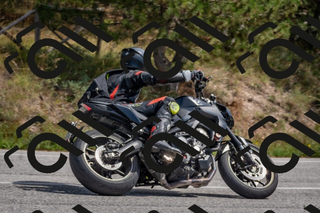 202509071317-DSC_9479_c4_