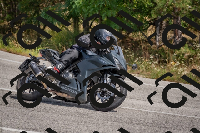 202509071319-DSC_9489_c4_