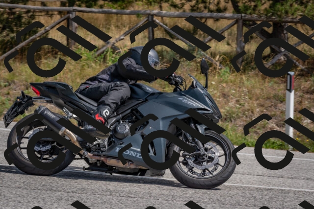 202509071319-DSC_9490_c4_