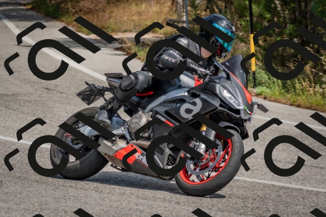 202509071319-DSC_9491_c4_