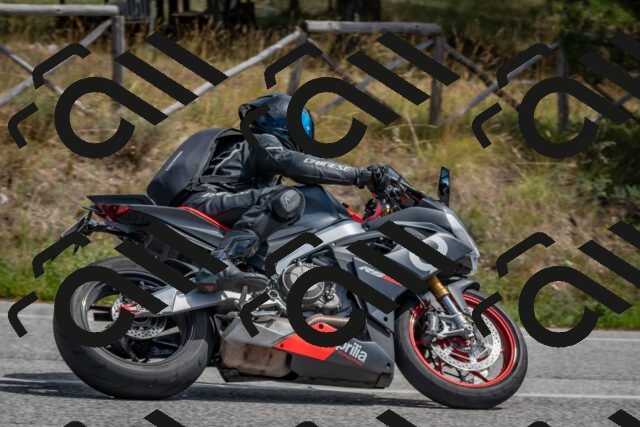 202509071319-DSC_9492_c4_