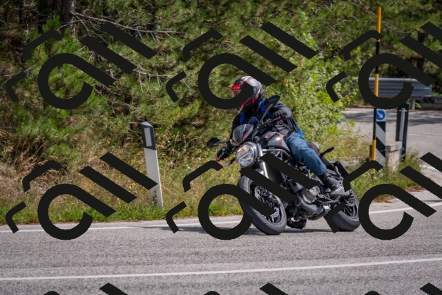 202509071320-DSC_9499_c4_