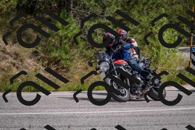 202509071320-DSC_9501_c4_