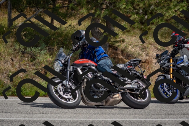 202509071320-DSC_9502_c4_