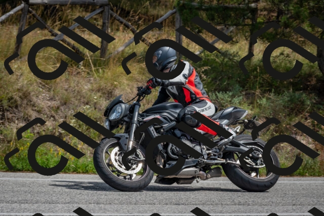 202509071320-DSC_9507_c4_