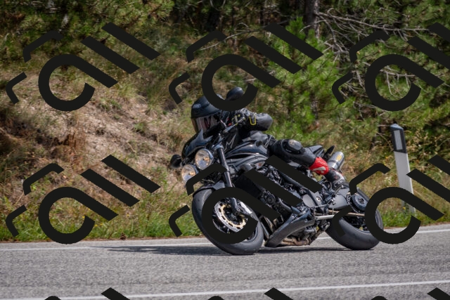 202509071320-DSC_9509_c4_