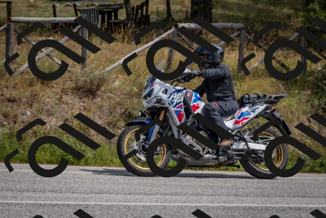 202509071321-DSC_9521_c4_