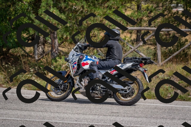 202509071321-DSC_9522_c4_