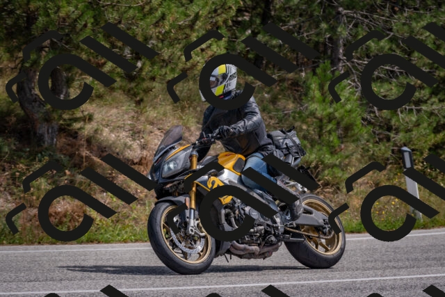 202509071322-DSC_9523_c4_