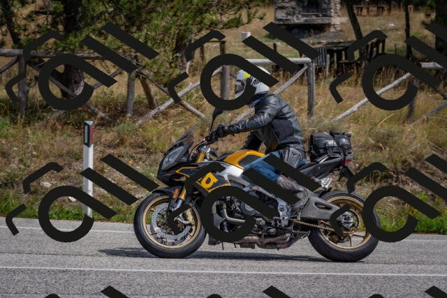 202509071322-DSC_9524_c4_