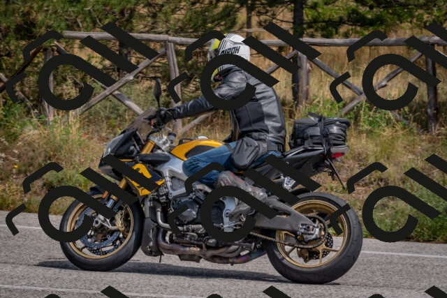 202509071322-DSC_9525_c4_