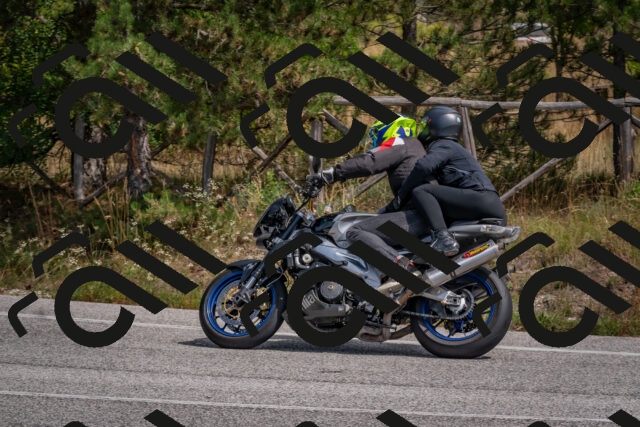 202509071322-DSC_9528_c4_