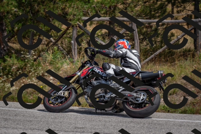 202509071323-DSC_9534_c4_