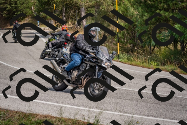 202509071324-DSC_9540_c4_