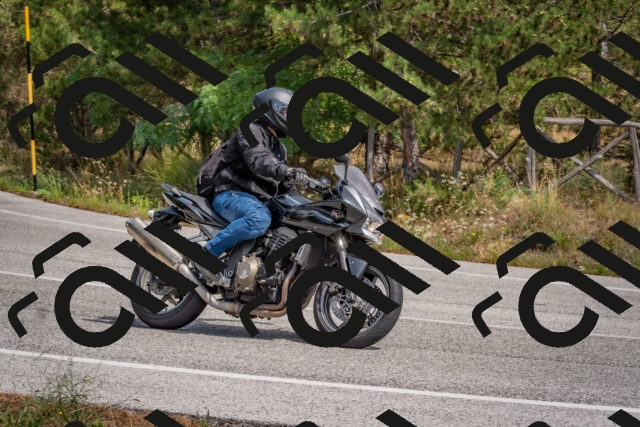 202509071324-DSC_9541_c4_